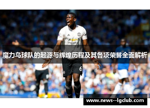 魔力鸟球队的起源与辉煌历程及其各项荣誉全面解析